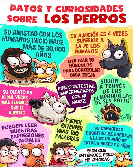 Perros