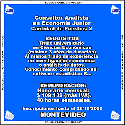 Consultor Analista en Economía Junior