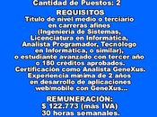 Consultor Técnico Informática