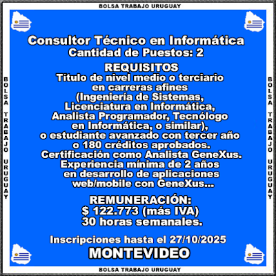 Consultor Técnico en Informática Consultor Técnico en Informática