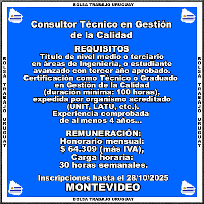 Consultor Técnico en Gestión de la Calidad Consultor Técnico en Gestión de la Calidad