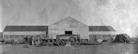 Oficios peculiares: el puestero. Oficios peculiares: el puestero.