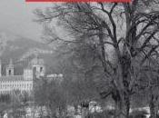 vista todos teresa cardona