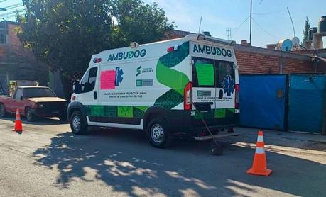 Ambudog brinda más de 300 atenciones veterinarias gratuitas en colonias de Soledad