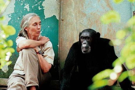 JANE GOODALL, OBITUARIO
