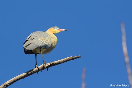Laguna de Navarro (septiembre  2025)