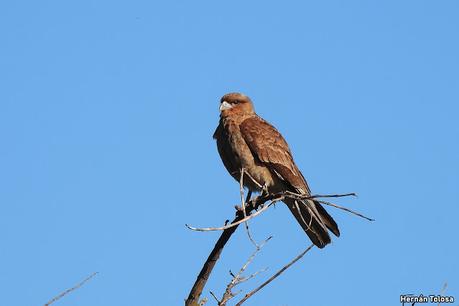 Laguna de Navarro (septiembre  2025)