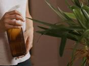 errores comunes regar plantas cómo evitarlos