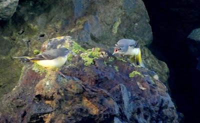 ACTUALIDAD Y ACTIVIDADES DE LOS ÚLTIMOS DÍAS