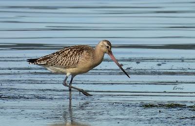 ACTUALIDAD Y ACTIVIDADES DE LOS ÚLTIMOS DÍAS