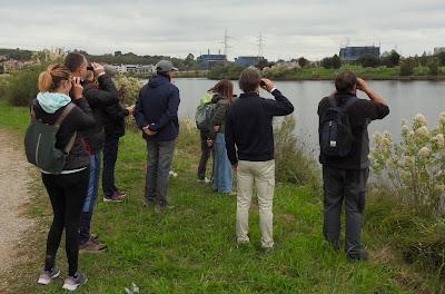 ACTUALIDAD Y ACTIVIDADES DE LOS ÚLTIMOS DÍAS