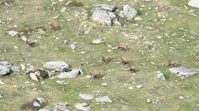 ACTUALIDAD Y ACTIVIDADES DE LOS ÚLTIMOS DÍAS