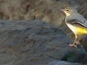 Actualidad actividades últimos días