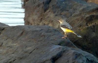 ACTUALIDAD Y ACTIVIDADES DE LOS ÚLTIMOS DÍAS