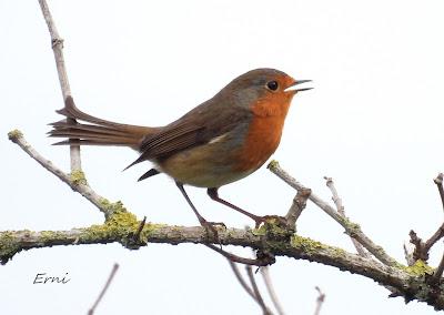 ACTUALIDAD Y ACTIVIDADES DE LOS ÚLTIMOS DÍAS