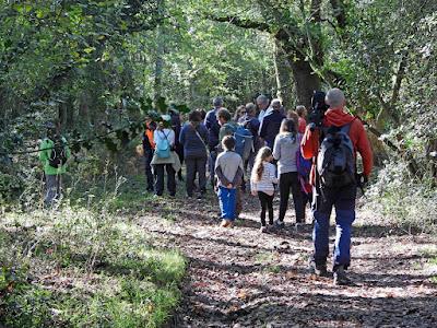 ACTUALIDAD Y ACTIVIDADES DE LOS ÚLTIMOS DÍAS
