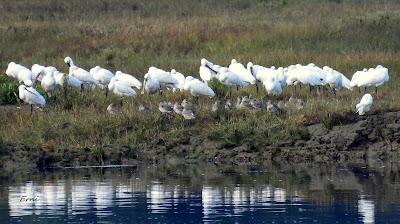 ACTUALIDAD Y ACTIVIDADES DE LOS ÚLTIMOS DÍAS