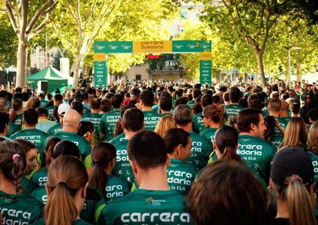 La mejora de drenajes en los accesos de Albacete podría empezar en el primer trimestre de 2026, según Subdelegación La mejora de drenajes en los accesos de Albacete podría empezar en el primer trimestre de 2026, según Subdelegación