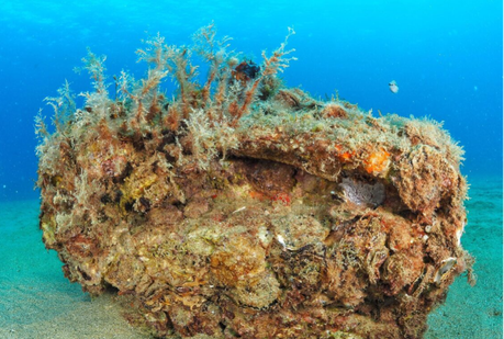 La Fundación Ona Futura cumple 5 años con el objetivo de invertir 5 millones hasta 2030 e iniciar su internacionalización