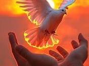 6.355 días tristes...