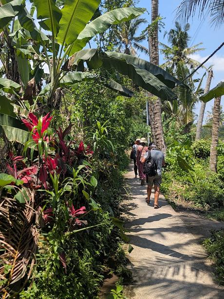 Día 1 en Bali – Explorando el centro de Ubud Día 1 en Bali – Explorando el centro de Ubud