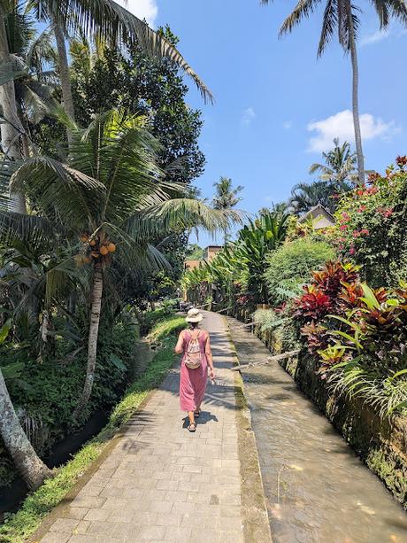 Día 1 en Bali – Explorando el centro de Ubud Día 1 en Bali – Explorando el centro de Ubud