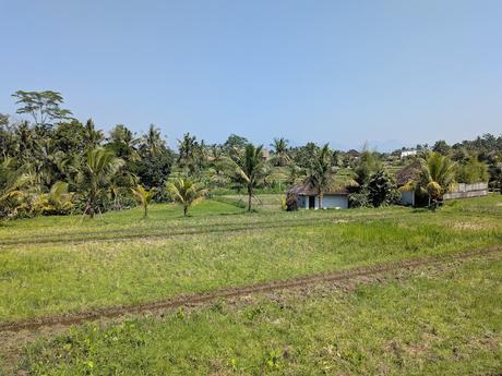 Día 1 en Bali – Explorando el centro de Ubud Día 1 en Bali – Explorando el centro de Ubud