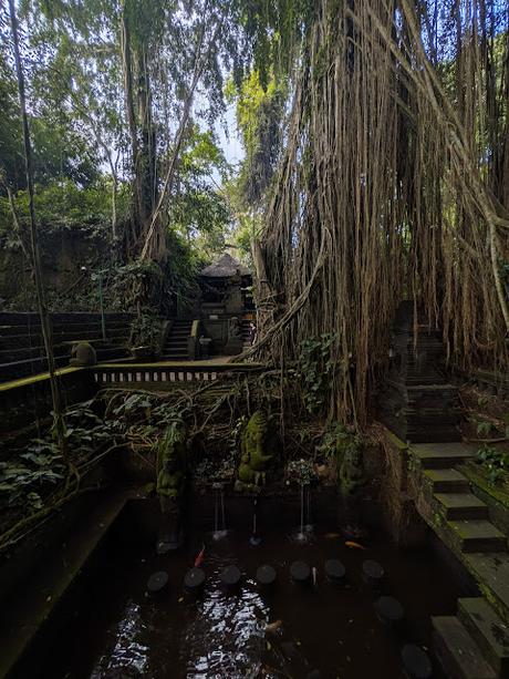 Día 1 en Bali – Explorando el centro de Ubud Día 1 en Bali – Explorando el centro de Ubud