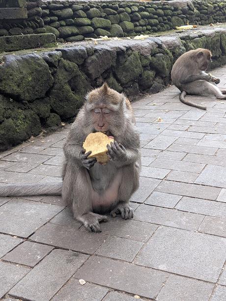 Día 1 en Bali – Explorando el centro de Ubud Día 1 en Bali – Explorando el centro de Ubud