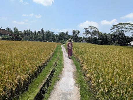 Día 1 en Bali – Explorando el centro de Ubud Día 1 en Bali – Explorando el centro de Ubud