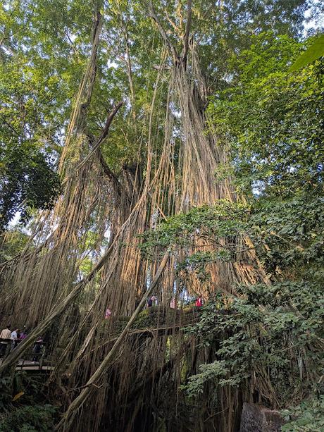 Día 1 en Bali – Explorando el centro de Ubud Día 1 en Bali – Explorando el centro de Ubud