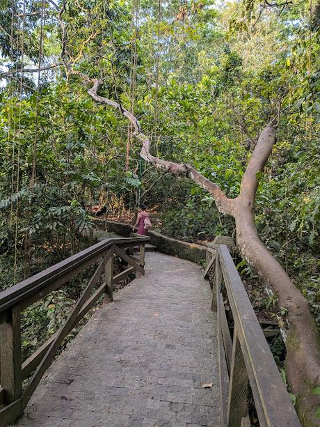 Día 1 en Bali – Explorando el centro de Ubud Día 1 en Bali – Explorando el centro de Ubud