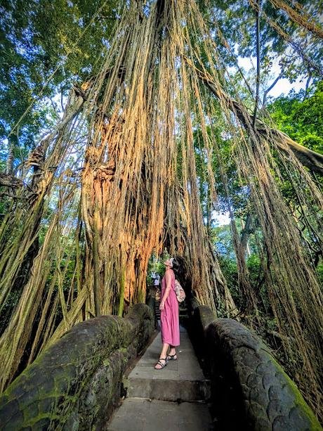 Día 1 en Bali – Explorando el centro de Ubud Día 1 en Bali – Explorando el centro de Ubud