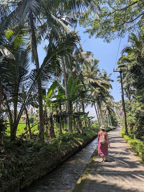 Día 1 en Bali – Explorando el centro de Ubud Día 1 en Bali – Explorando el centro de Ubud