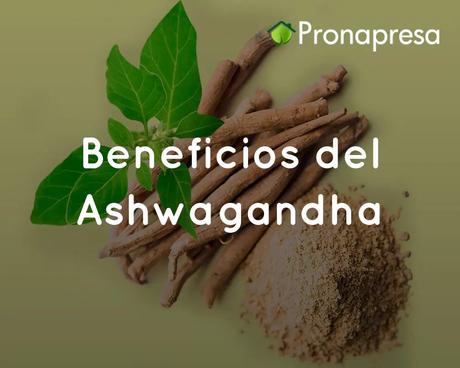 Beneficios del Ashwagandha