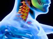 Inversores globales sector transporte ergonomía ponen foco sistema CERVISAFE