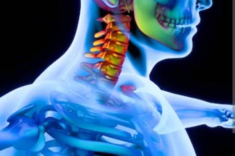 Inversores globales del sector transporte y ergonomía ponen el foco en el sistema CERVISAFE