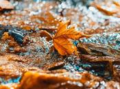 Cómo prevenir tratar humedades otoño; guía práctica