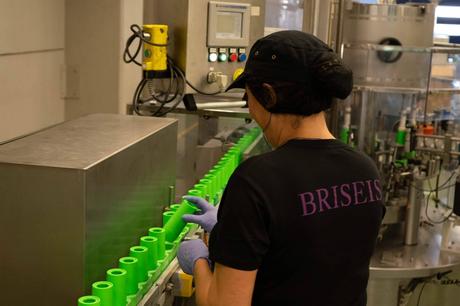 Tulipán Negro; la evolución de un aroma que nunca deja de reinventarse Tulipán Negro; la evolución de un aroma que nunca deja de reinventarse