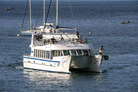 El Catamarán Finanzauto Ciudad San Sebastián cierra con éxito su primera temporada 0 emisiones El Catamarán Finanzauto Ciudad San Sebastián cierra con éxito su primera temporada 0 emisiones