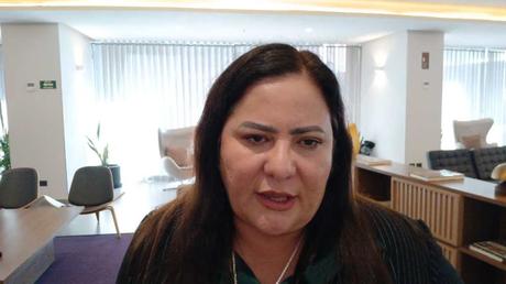 Diputada acusa a concejal de Villa de Pozos de obstaculizar su informe legislativo