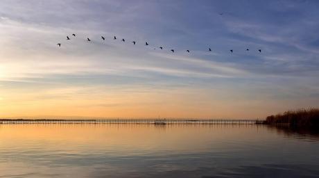 Valencia en otoño, la ciudad del Turia en su mejor momento
