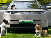 JAECOO presenta cinco consejos para disfrutar perro cada viaje