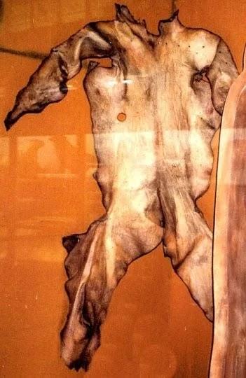 ¿POR QUÉ EL GOBIERNO FRANCÉS CENSURÓ UNA NOVELA DE JULIO VERNE?