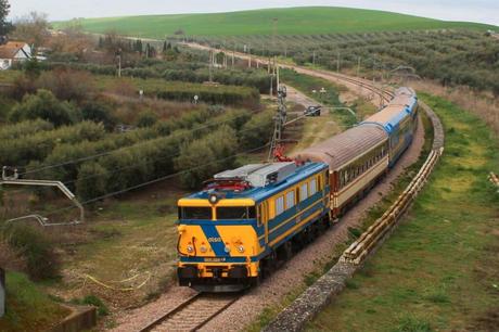 Tomelloso acoge este jueves y viernes el curso de la UCLM ‘Cultura del Vino. Pasado y Futuro’ Tomelloso acoge este jueves y viernes el curso de la UCLM ‘Cultura del Vino. Pasado y Futuro’