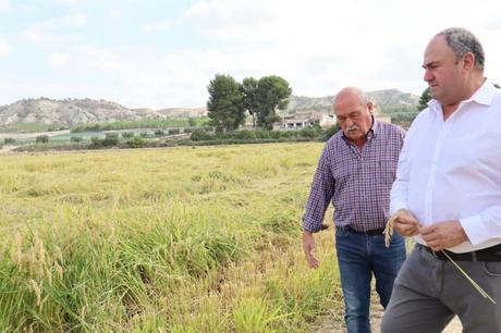 Serrano agradece a mujeres rurales el gran legado que han dejado a la sociedad albaceteña: «También sois marca Albacete» Serrano agradece a mujeres rurales el gran legado que han dejado a la sociedad albaceteña: «También sois marca Albacete»