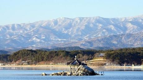 Apartamento lago: guía completa y precios Apartamento lago: guía completa y precios