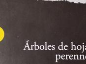 Tejer palabra Tibia radiancia Belén Ojeda