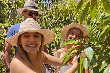 Tahodio Avocado Experience abre sus puertas el 22 de octubre; una inmersión sensorial en el corazón verde Tahodio Avocado Experience abre sus puertas el 22 de octubre; una inmersión sensorial en el corazón verde