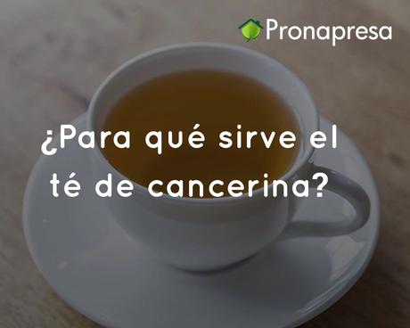 ¿Para que sirve el té de cancerina?
